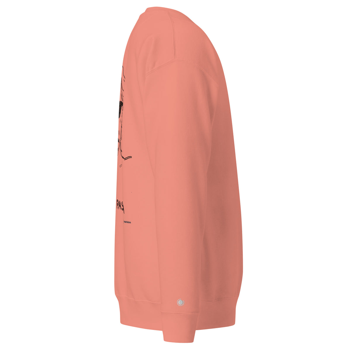 tutto passa sweater pink side logo