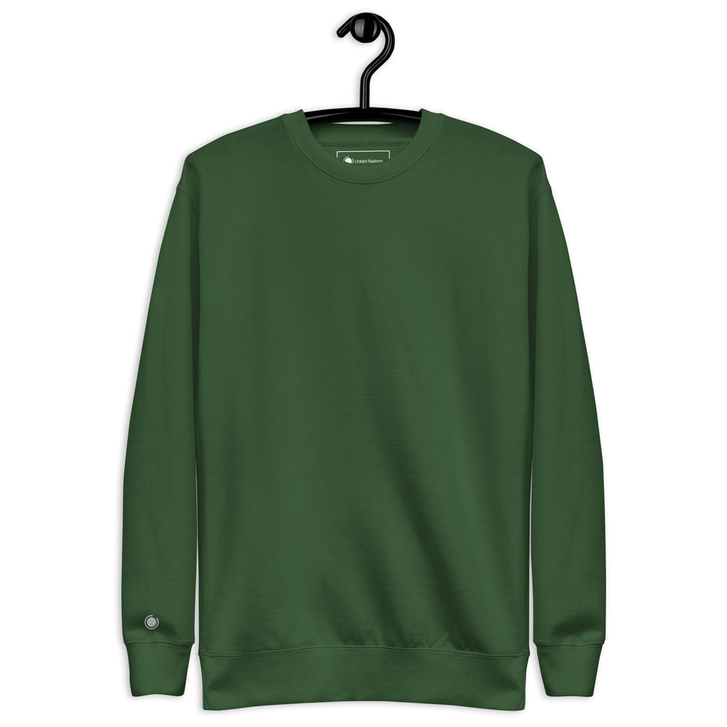 Tutto Passa Sweater green front