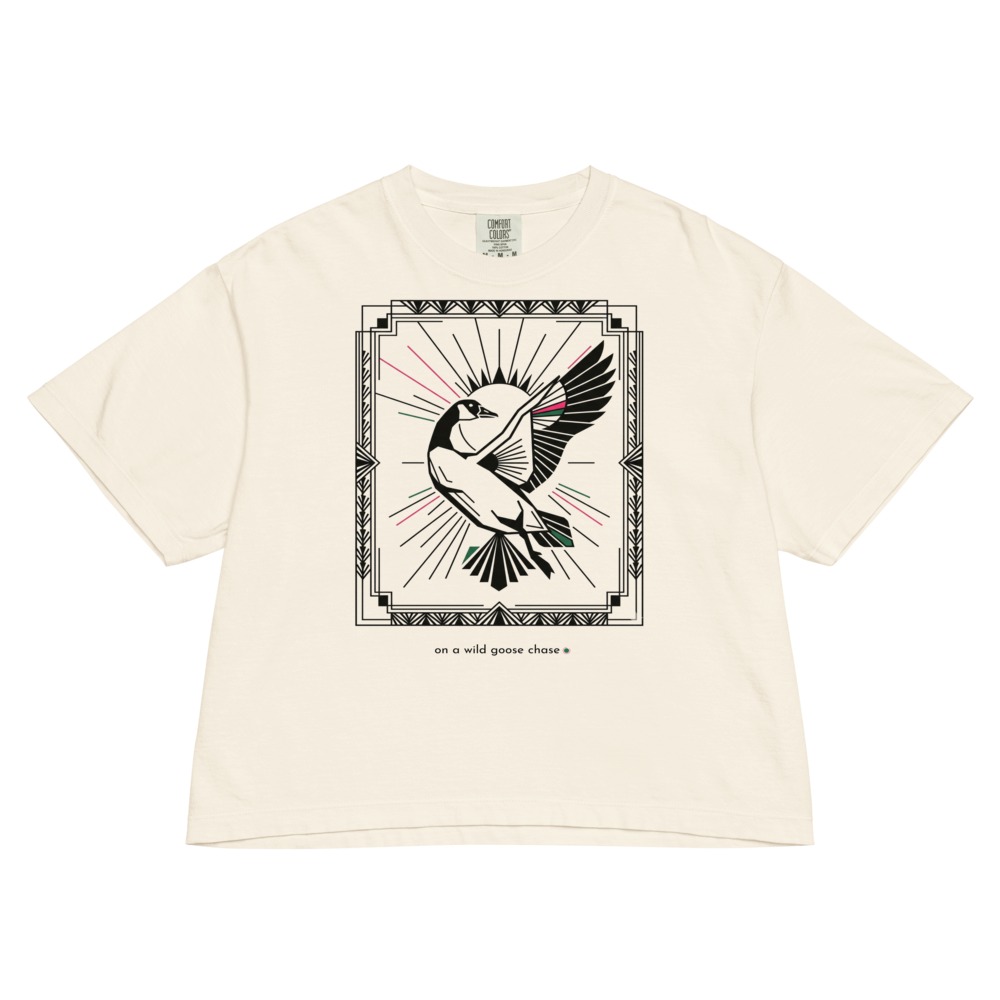 Wild goose chase