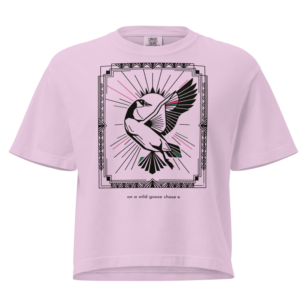 Wild goose chase