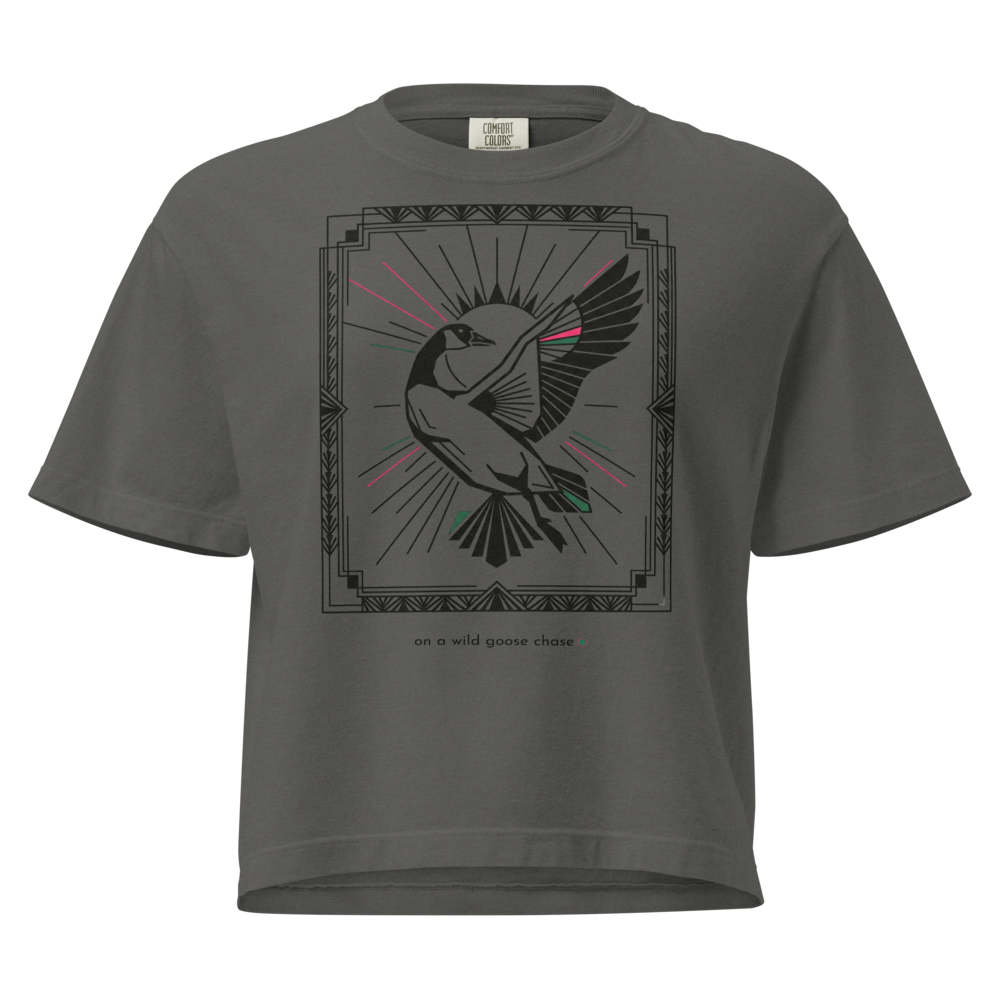 Wild goose chase