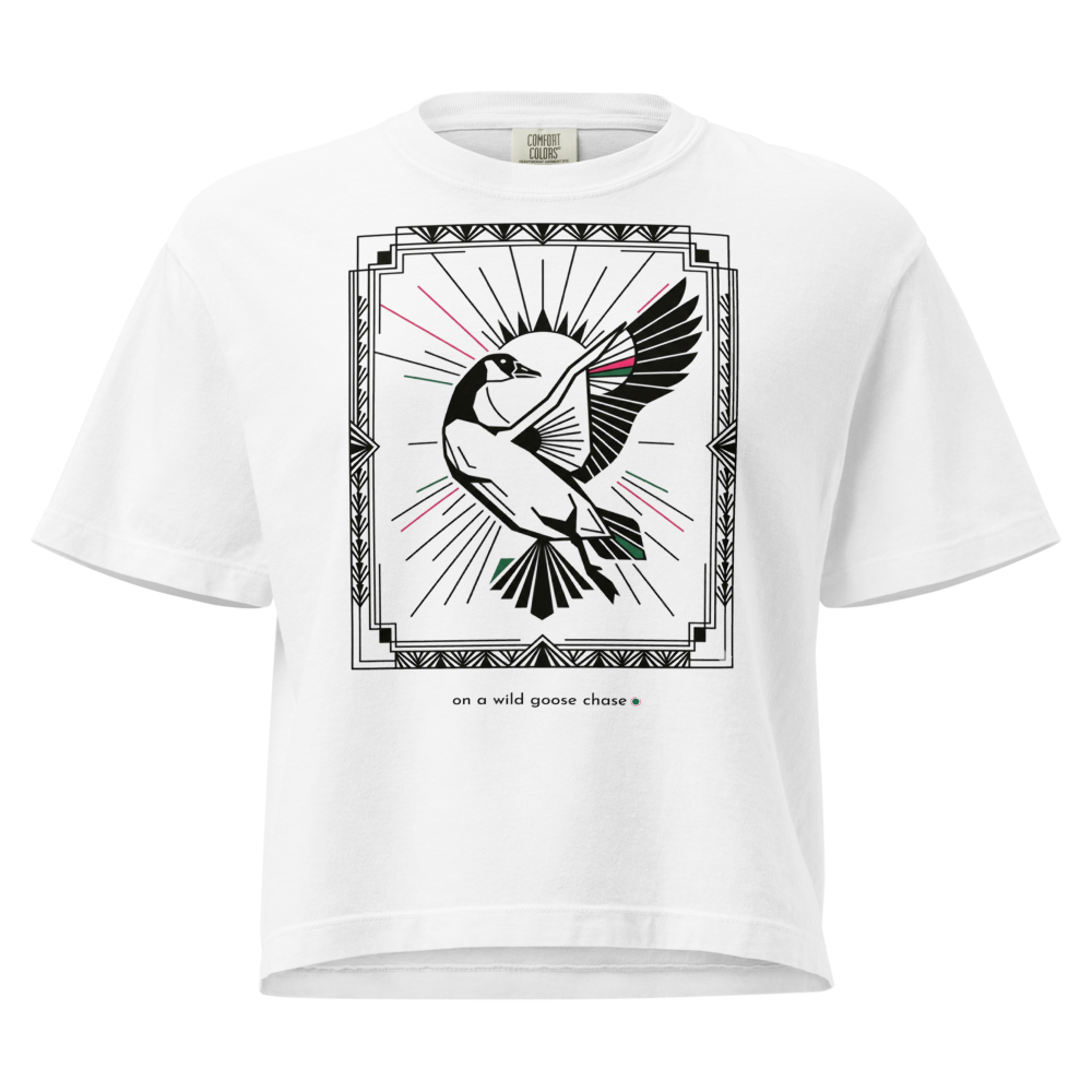 Wild goose chase